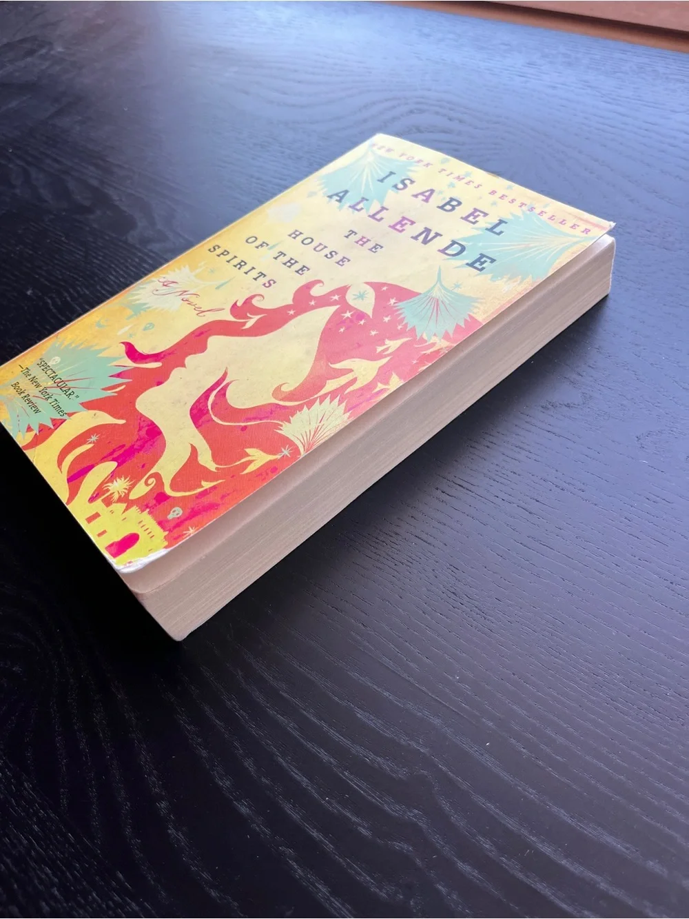 Isabel Allende The House of the Spirits Dial Press Paperback Book Fiction 📖